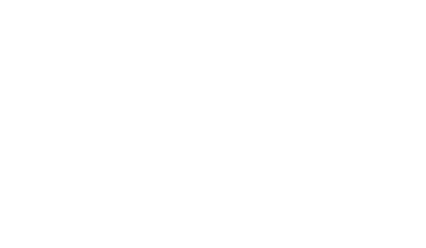 Taylor Travel Management
